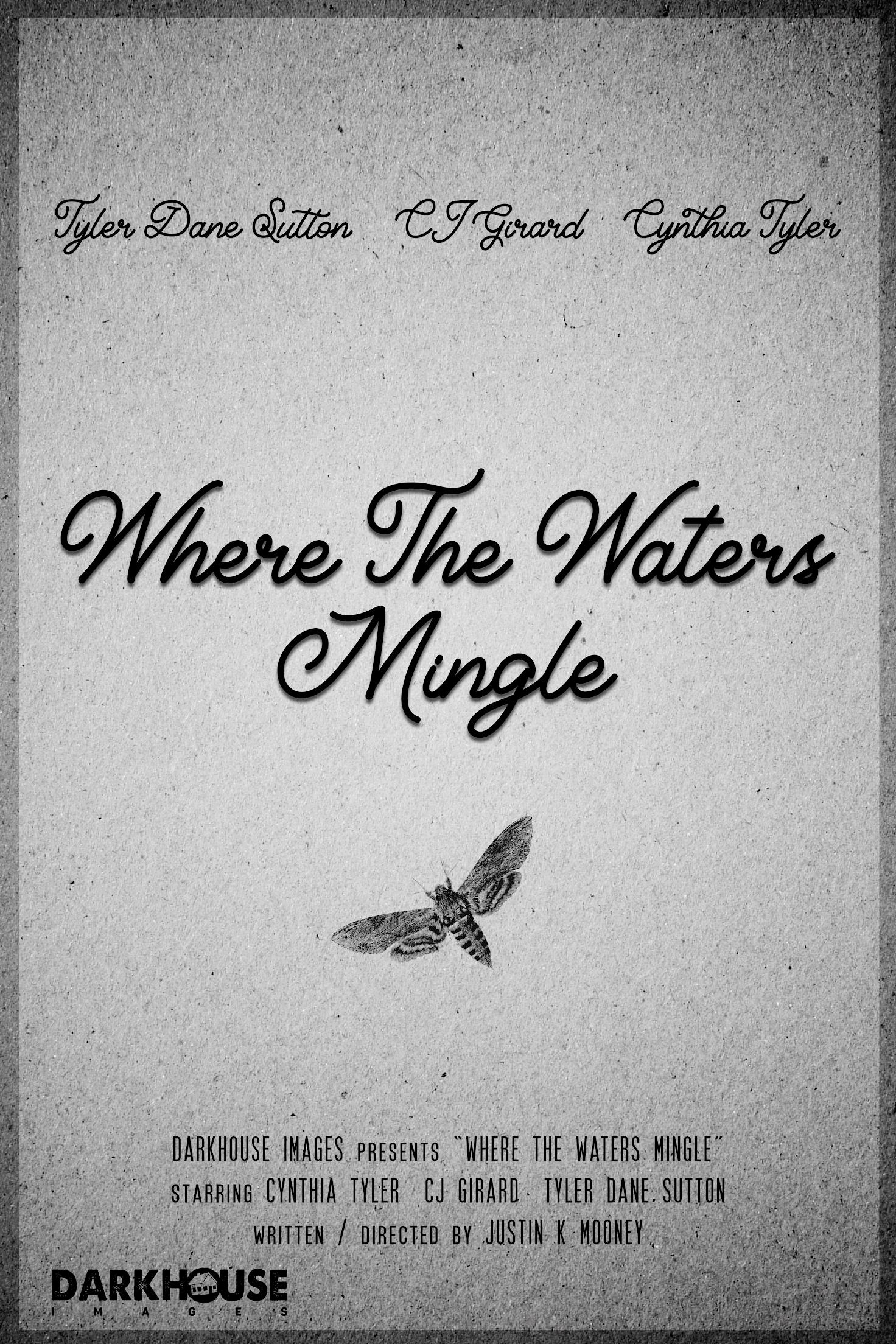 Where the Waters Mingle poster